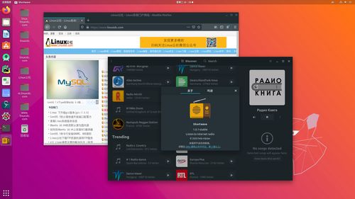 网络电台播放器shortwave1.0发布,linux下安装方法