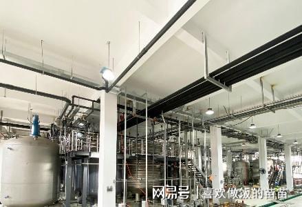 免疫细胞缺陷或可加速3倍衰老 西班牙科学家揭示衰老新机制