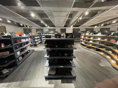 马可 从电视台主持人到网络主播的进化和顺应