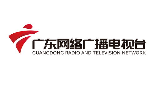 广东网络广播电视台简介