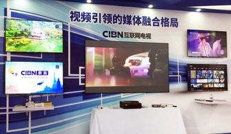 cibn互联网电视携旗下看尚亮相birtv2017