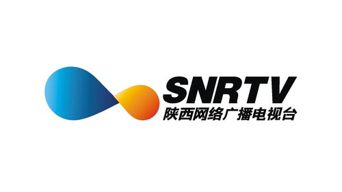 陕西网络广播电视台