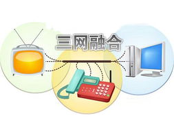 三网融合下各种业务形态多样化