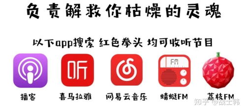 网络电台的复兴与未来 音频内容消费的新蓝海